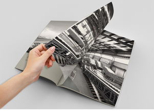 杭州铭阳广告 专业设计服务助力品牌高端形象